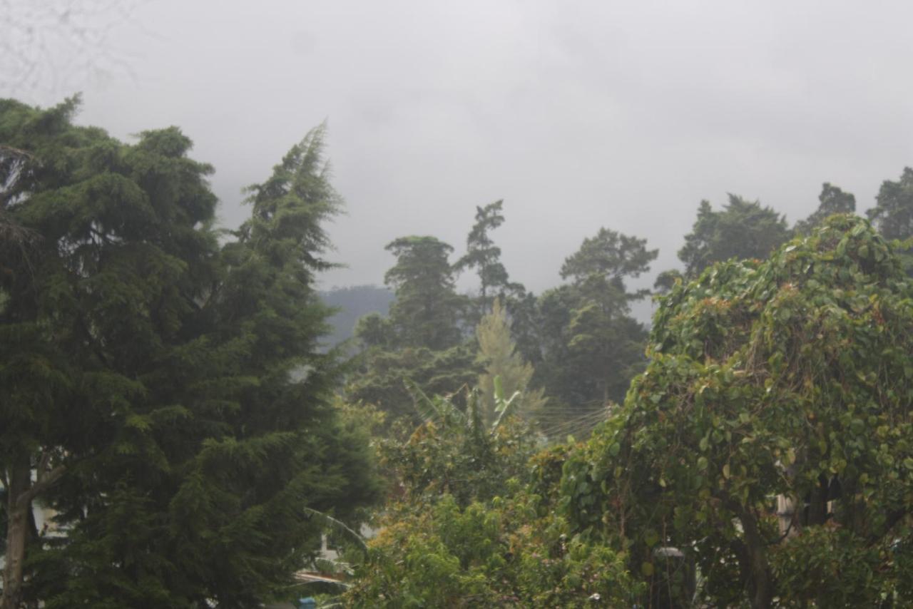 Dream Hill Homestay Nuwara Eliya Ngoại thất bức ảnh