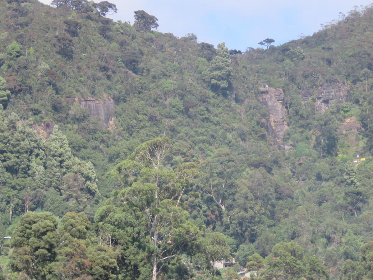 Dream Hill Homestay Nuwara Eliya Ngoại thất bức ảnh