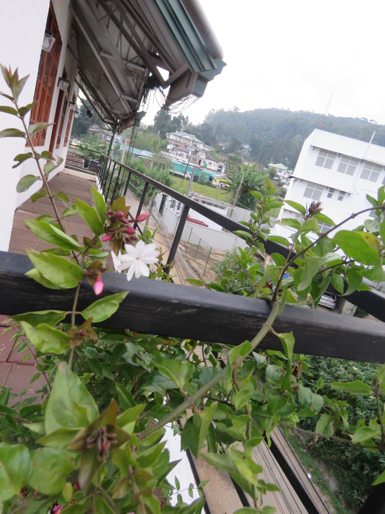 Dream Hill Homestay Nuwara Eliya Ngoại thất bức ảnh